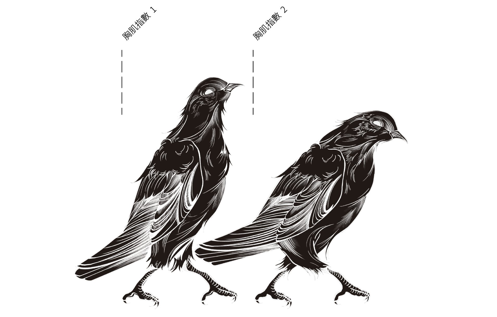 指數1-2插圖